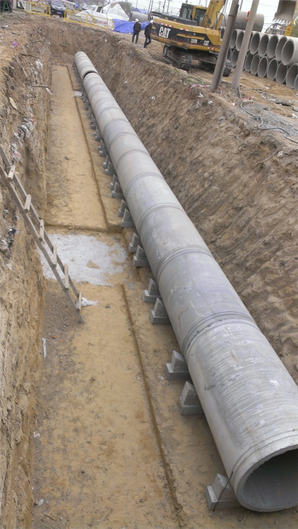 BG����(�й�����)Ψһ�ٷ���վ