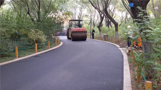 BG����(�й�����)Ψһ�ٷ���վ