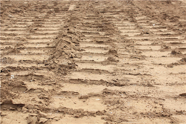 BG����(�й�����)Ψһ�ٷ���վ