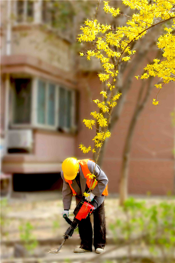 BG����(�й�����)Ψһ�ٷ���վ