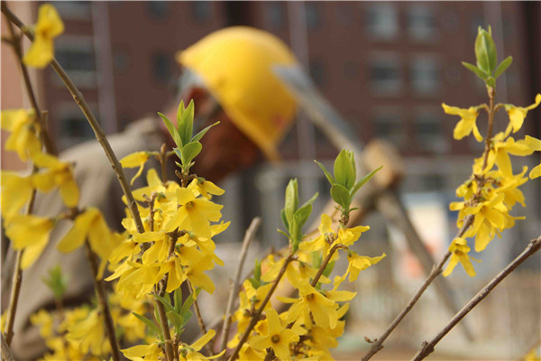 BG����(�й�����)Ψһ�ٷ���վ