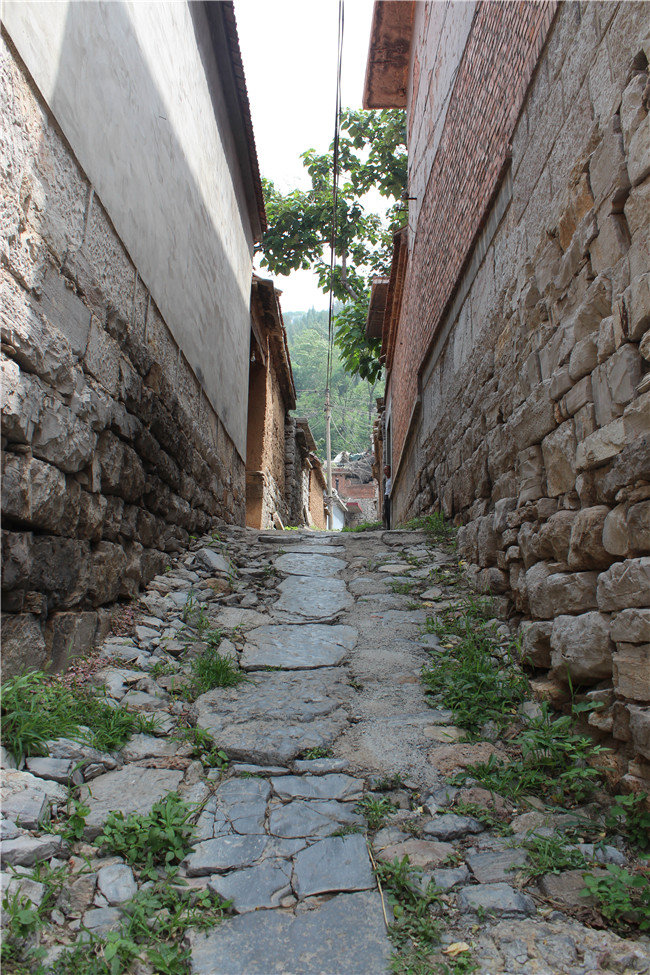 BG����(�й�����)Ψһ�ٷ���վ