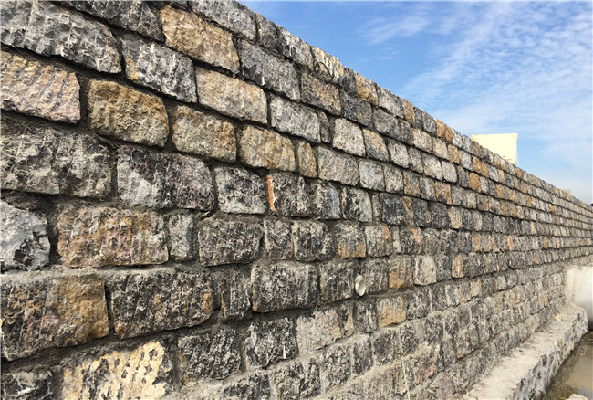 BG����(�й�����)Ψһ�ٷ���վ